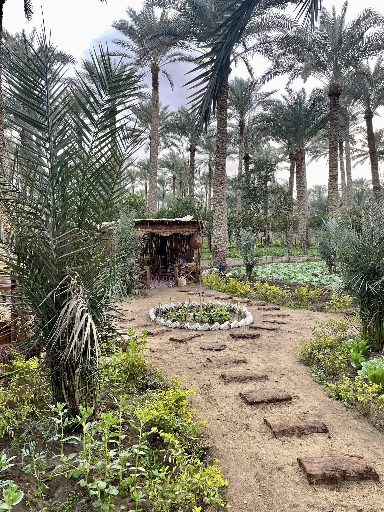 dahshur pyramid tour