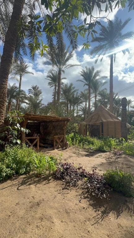 dahshur pyramid tour