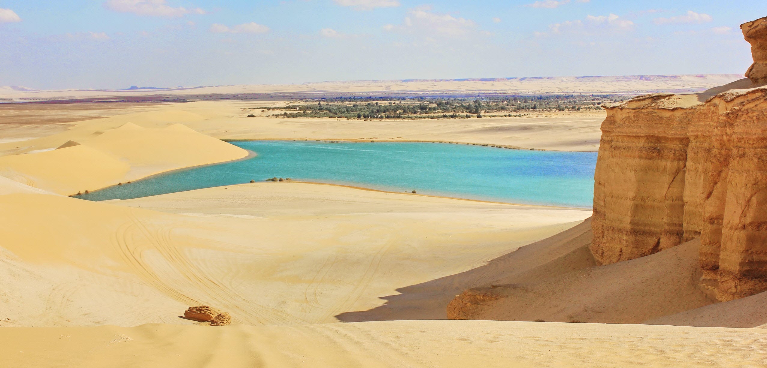 Fayoum Day Trip from Cairo
