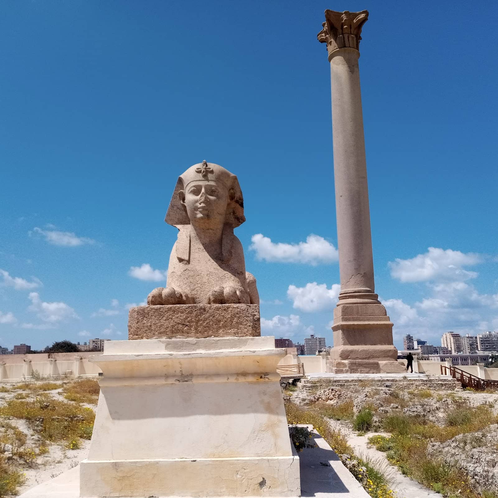 Alexandria Day Trip from Cairo