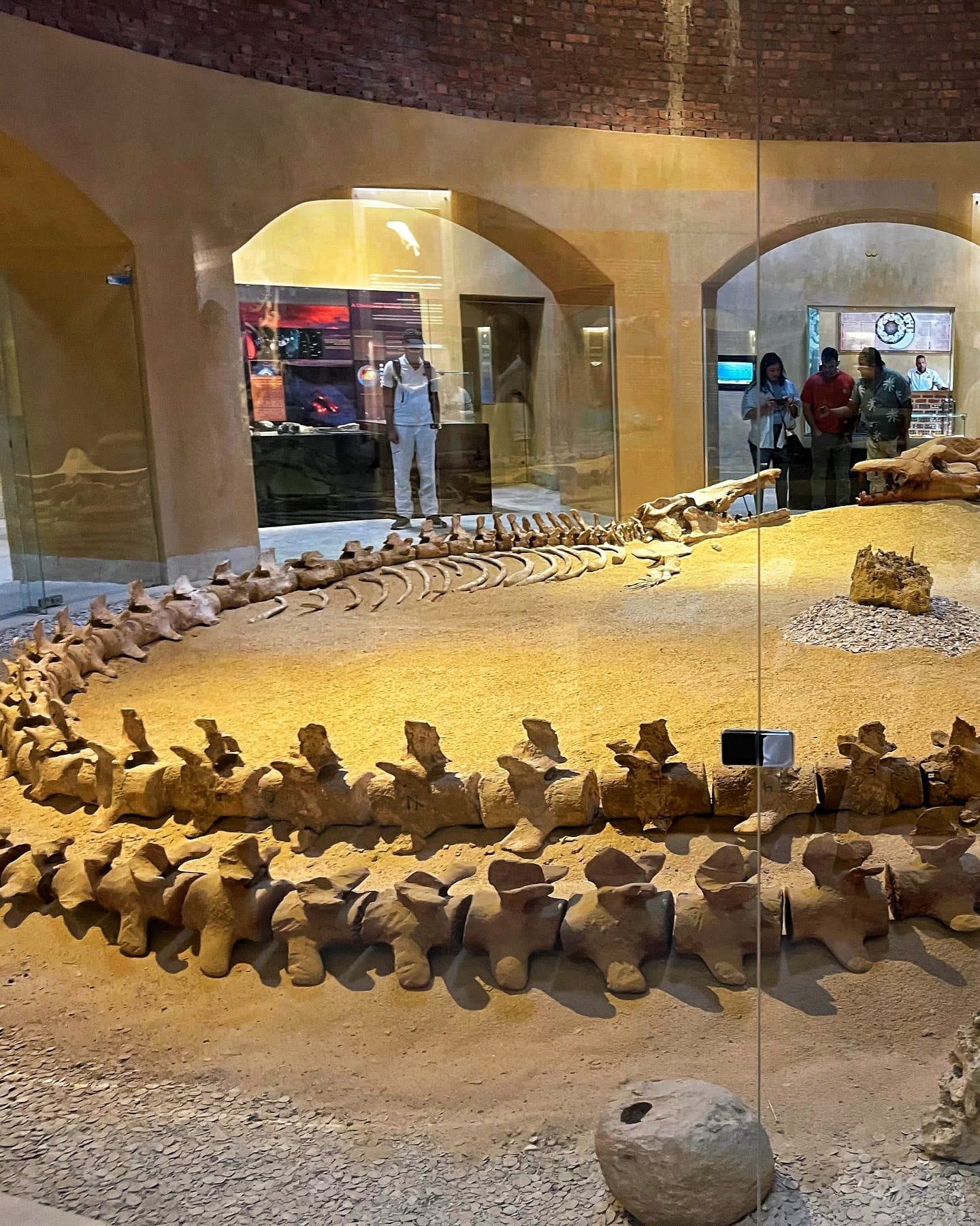 Fayoum Day Trip from Cairo