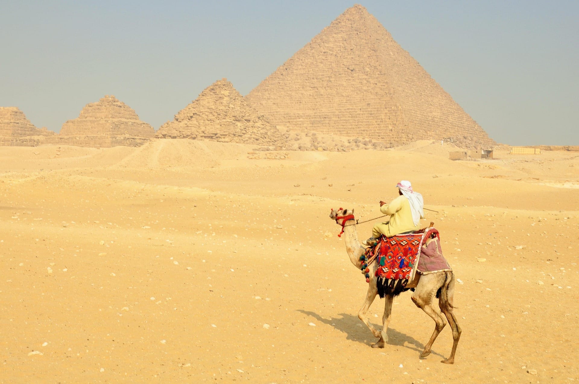 Tour Piramidi di Giza di Mezza Giornata